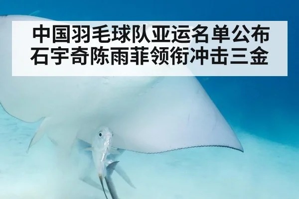 中国羽毛球队亚运名单公布 石宇奇陈雨菲领衔冲击三金